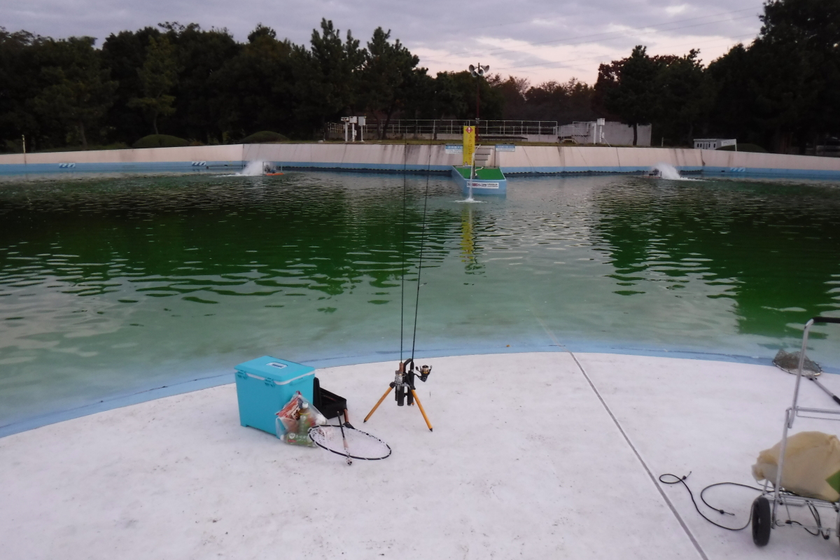 エステルラインとpeラインを川越水上公園で試してみる 釣行編 管釣りチャンネル