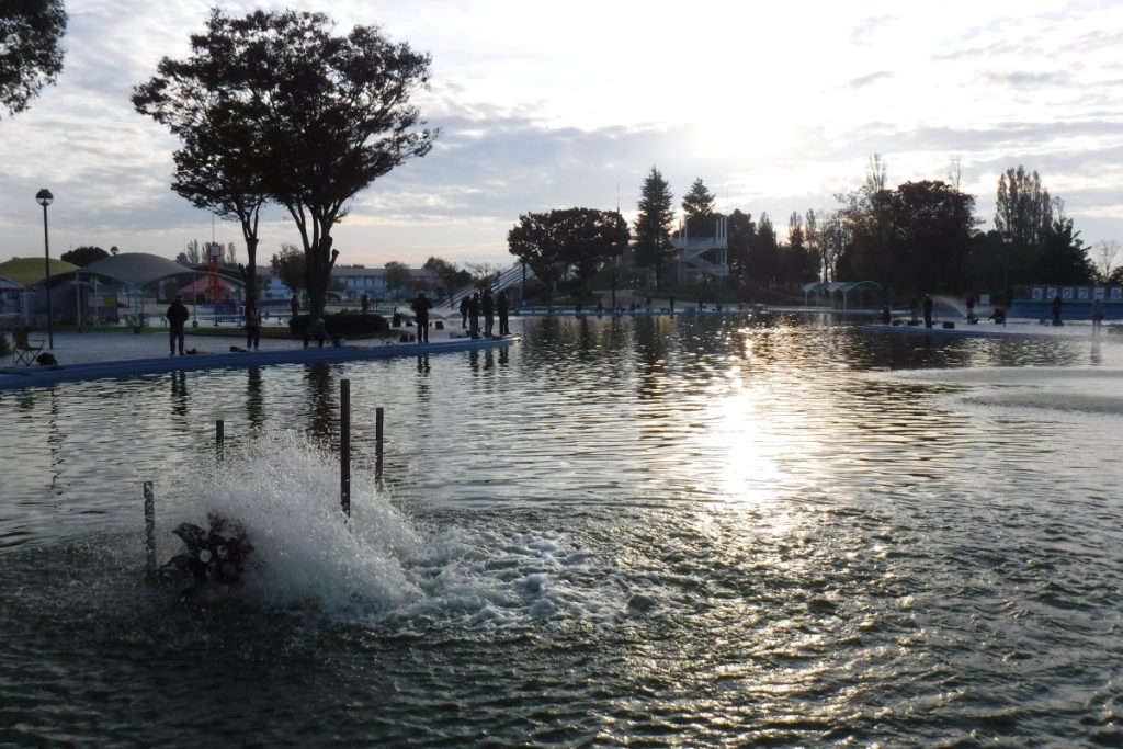 11/17 しらこばと水上公園プールフィッシング 管釣りチャンネル