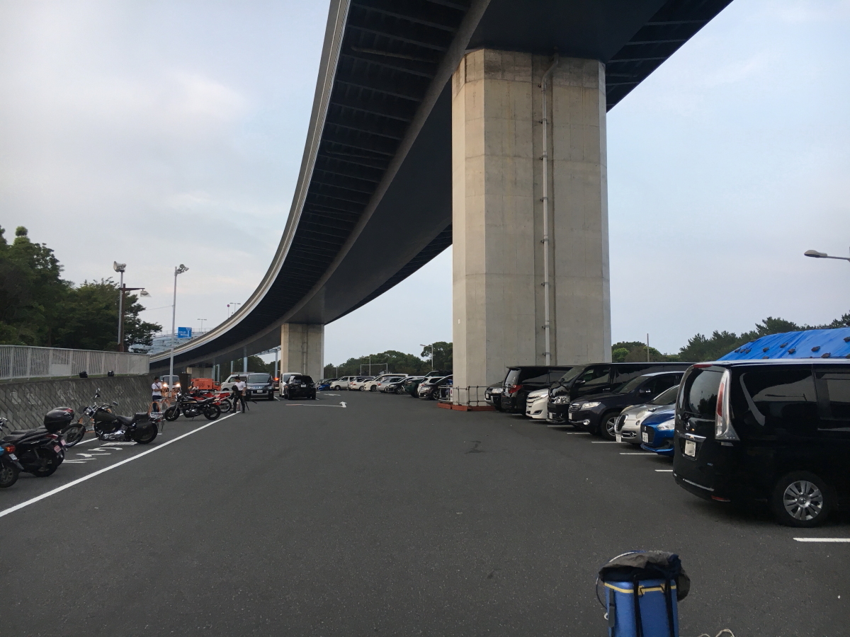 19 07 31 若洲海浜公園海釣り 管釣りチャンネル