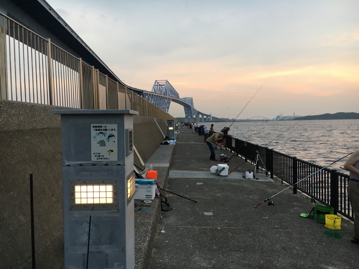 19 07 31 若洲海浜公園海釣り 管釣りチャンネル